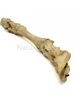 Antieke koe poot assemblage 53 cm
