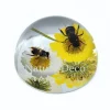 Bijen op bloemen in halve hars "dome" 6,5 x 6,5 x 3,5 cm