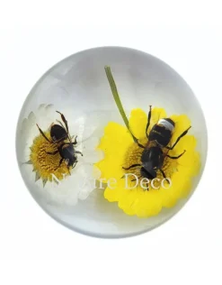Bijen op bloemen in halve hars "dome" 6,5 x 6,5 x 3,5 cm