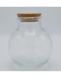 Bol glas L kurk