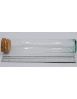 Cilinder glas XXL 30cm stolp/buis kurk