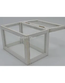 Display box wit medium 23x14x16,2 cm (LxWxH)