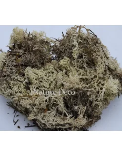 Doosje rendiermos naturel 50gram