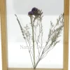Dubbelglas lijst droogbloemen 27x22cm "paars"