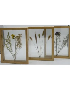 Dubbelglas lijst droogbloemen 27x22cm "paars"
