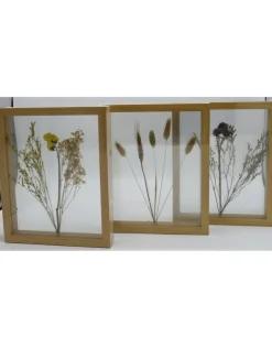 Dubbelglas lijst droogbloemen 27x22cm "geel"