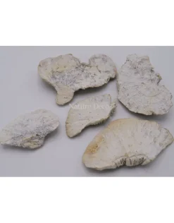 Elfenbankje paddenstoel Whitewash S 1stuk