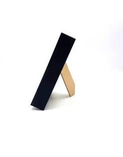Eurypelma Spinicrus in luxe 3D lijst 17 x 17cm spin