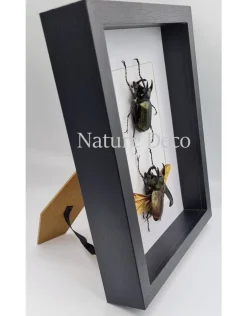 Extra dik luxe 3D lijst rechthoek 27 x 22 x 4,5cm