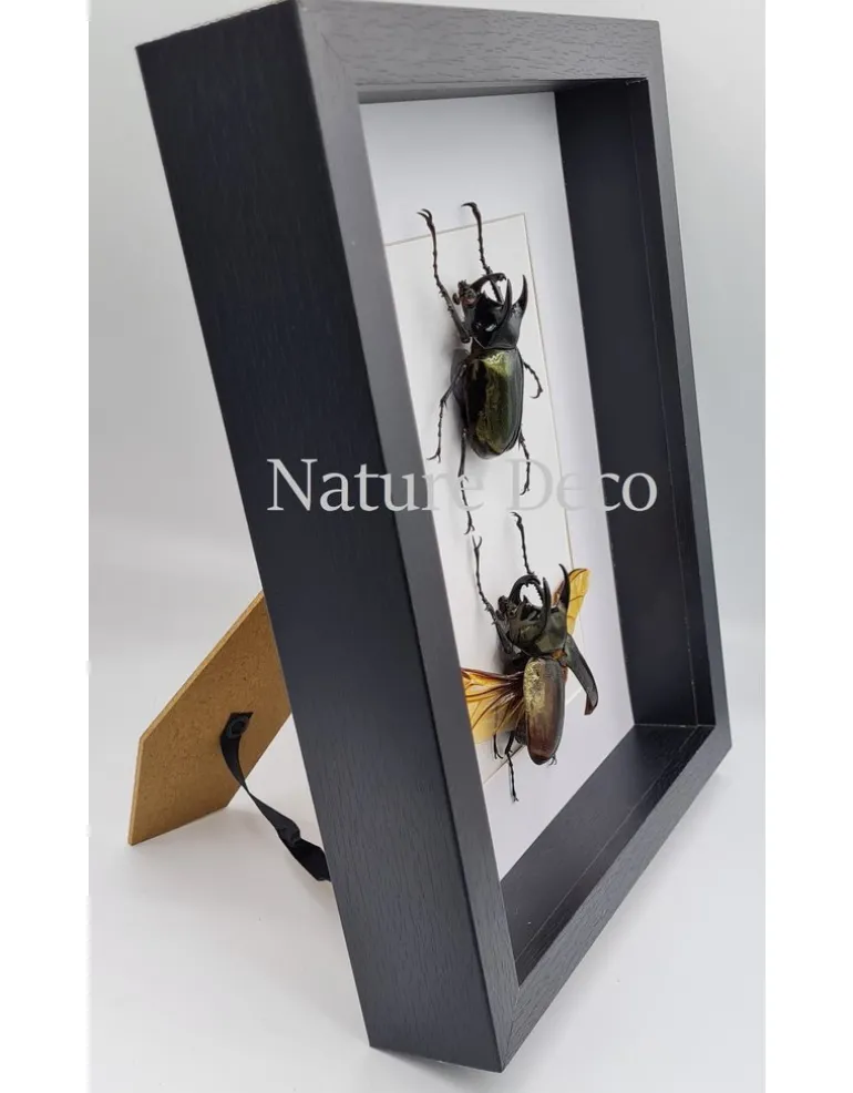 Extra dik luxe 3D lijst rechthoek 27 x 22 x 4,5cm