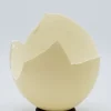 Gebroken struisvogel ei