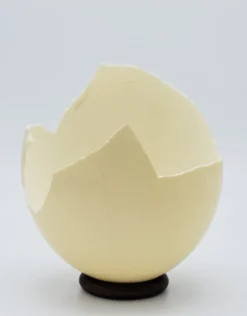 Gebroken struisvogel ei