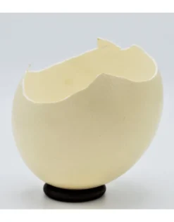 Gebroken struisvogel ei