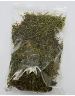 Gedroogd mos 10 gram