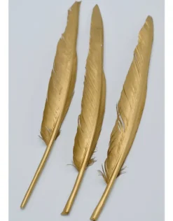 Gouden Ganzen veer