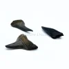 Haaientand klein (3 stuks) 1,5 x 1 x 0,5 cm