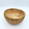 Halve kokosnoot (15cm x 6cm)