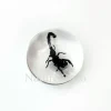 Insect in druppel #1