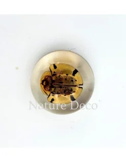 Insect in druppel #2