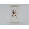 Insect in hars #20 7 x 4cm