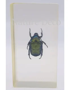 Insect in hars #24 7 x 4cm