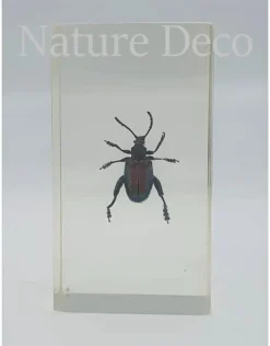 Insect in hars #18 7 x 4cm