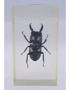 Insect in hars #3 7 x 4cm