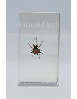 Insect in hars #30 7 x 4cm