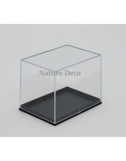 Insecten box doos showcase vitrine acrylaat model M3