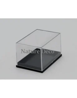 Insecten box doos showcase vitrine acrylaat model 1