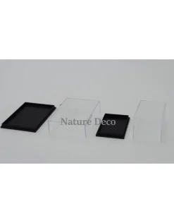 Insecten box doos showcase vitrine acrylaat model 1