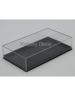 Insecten box doos showcase vitrine acrylaat model M4