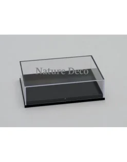 Insecten box doos showcase vitrine acrylaat model M2