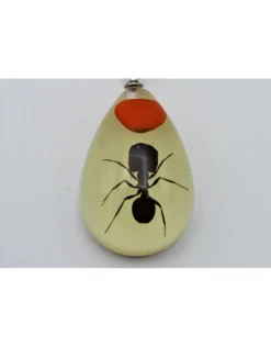 Insecten sleutelhanger #6