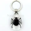 Insecten sleutelhanger #12