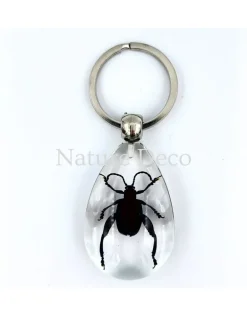Insecten sleutelhanger #5
