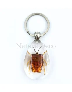 Insecten sleutelhanger #2