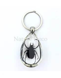Insecten sleutelhanger #11