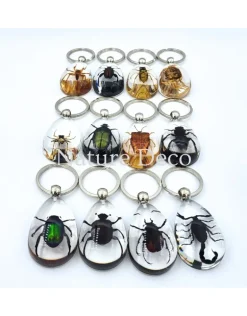 Insecten sleutelhanger #11