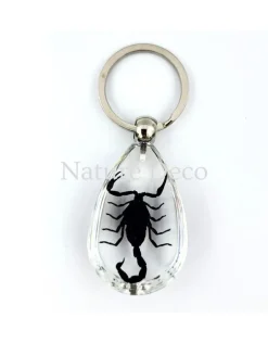Insecten sleutelhanger #3
