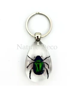Insecten sleutelhanger #9