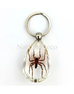 Insecten sleutelhanger #7