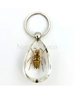 Insecten sleutelhanger #8