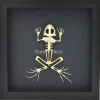 Kikker skelet in luxe 3D lijst 17 x 17cm