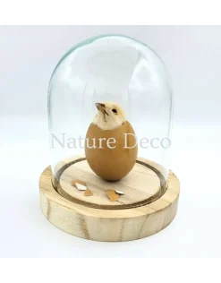 Kippen kuiken in LED stolp #2 (12cm x 14cm)