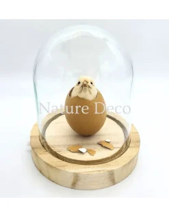 Kippen kuiken in LED stolp #2 (12cm x 14cm)