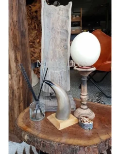 Koe hoorn gepolijst met houten voet groot 30cm