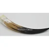 Koehoorn xl gepolijst mat 50-60cm multicolor