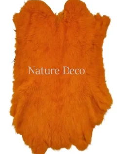 Konijnenvacht oranje