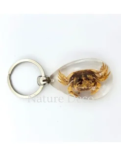 Krab sleutelhanger #1